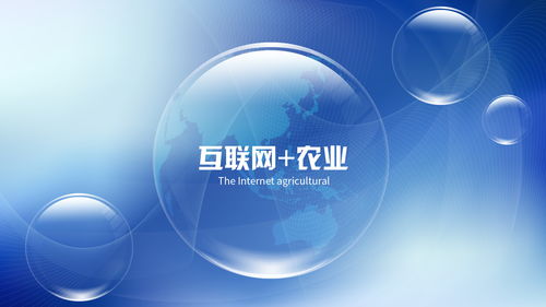 發(fā)掘生活創(chuàng)業(yè)商機(jī) 網(wǎng)絡(luò)技術(shù)領(lǐng)域的巨大潛力